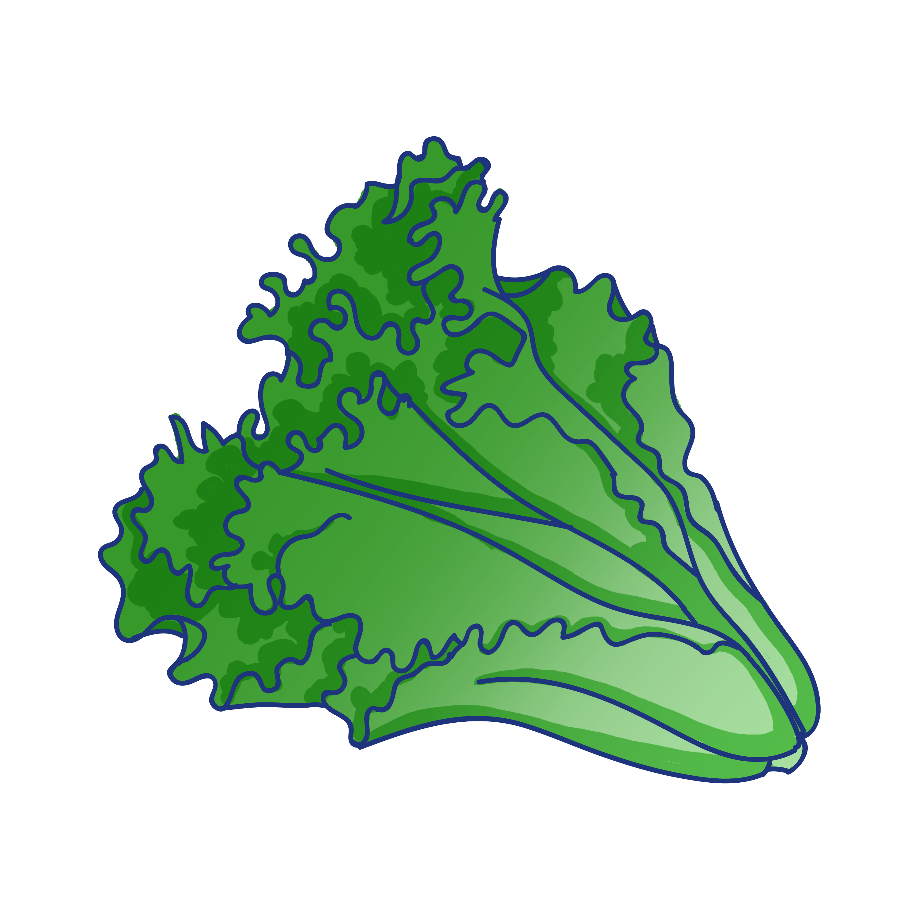 Pngtreegreen vegetables lettuce 3903055