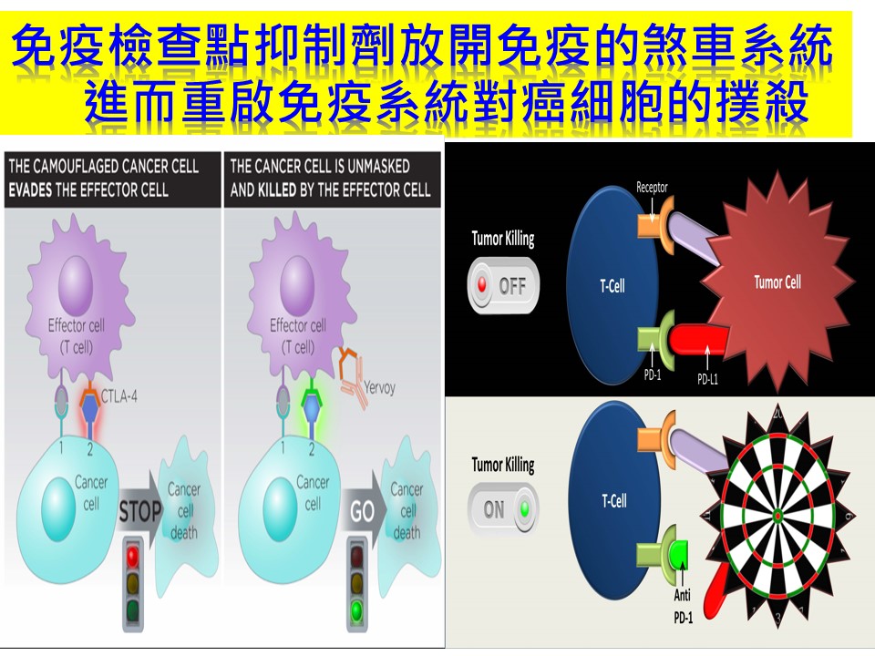 20170611陳駿逸 乳癌免疫治療的過去現在與