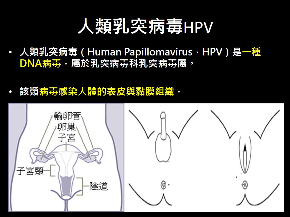 20180630 現場版 婦幼防癌新利器 HPV九價子宮頸癌疫苗 1