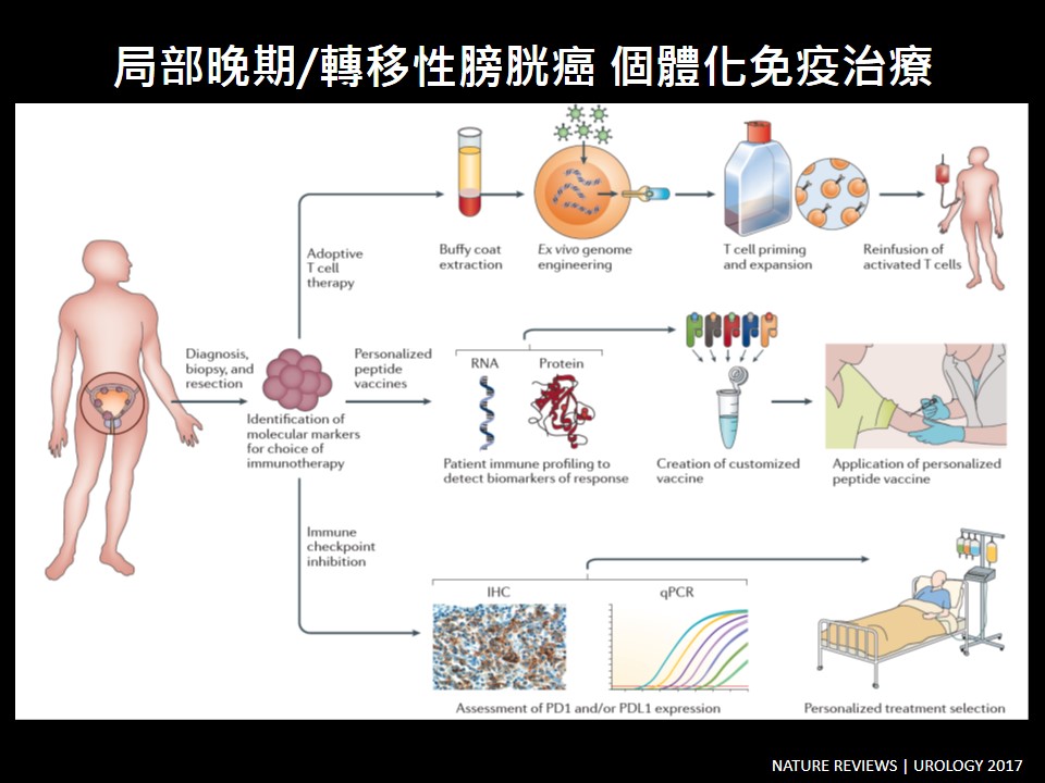 20180818 現場 膀胱癌之免疫治療最新進展 2