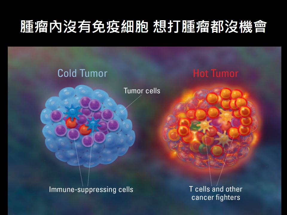 20180818現場1 免疫治療下一個光榮戰場在乳癌 1