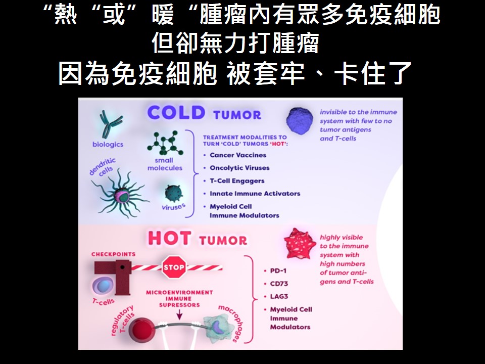 20180818現場1 免疫治療下一個光榮戰場在乳癌 2