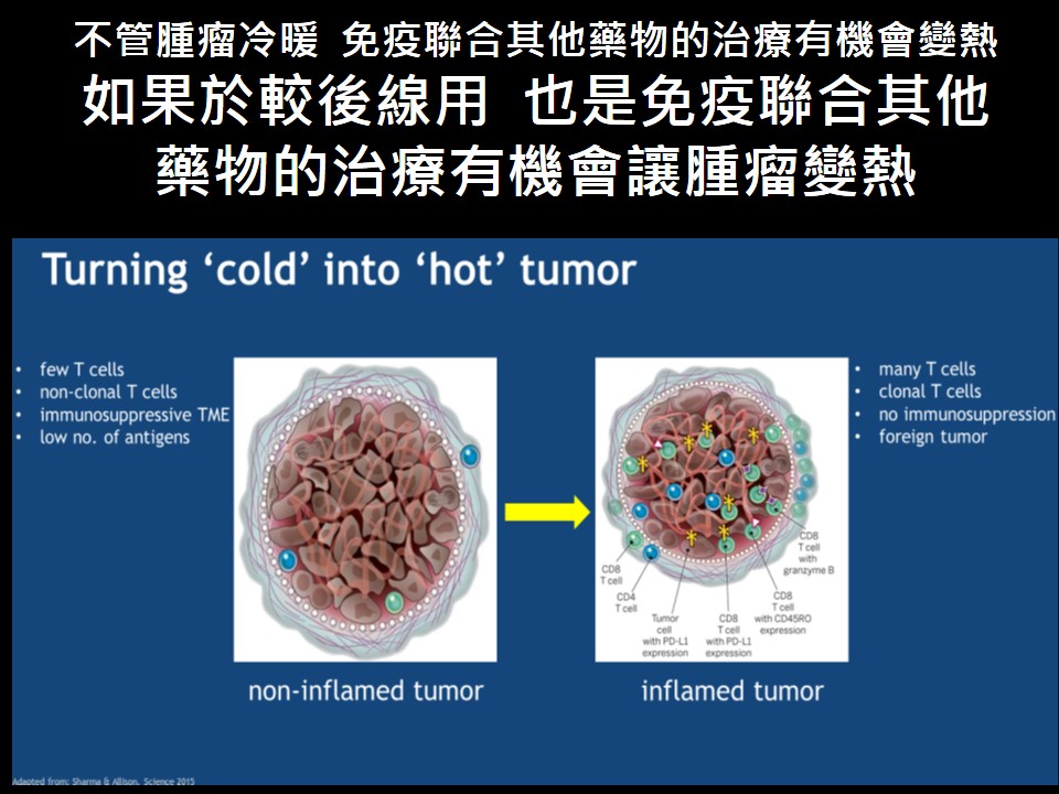 20180818現場1 免疫治療下一個光榮戰場在乳癌 3