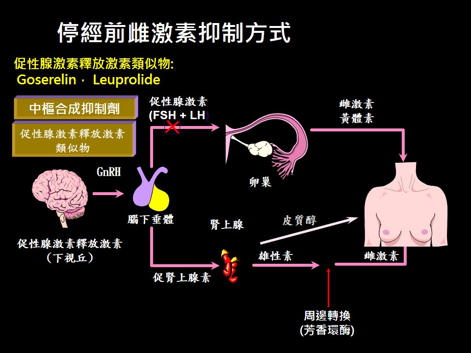 20181010 現場 乳癌荷爾蒙治療副作用的因應之道 1