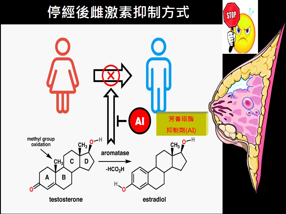 20181010 現場 乳癌荷爾蒙治療副作用的因應之道 2