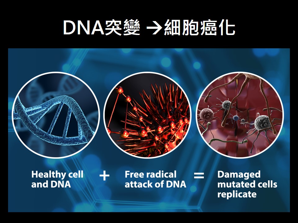 20181117 最後版 免疫治療是早期癌症治療的新 1