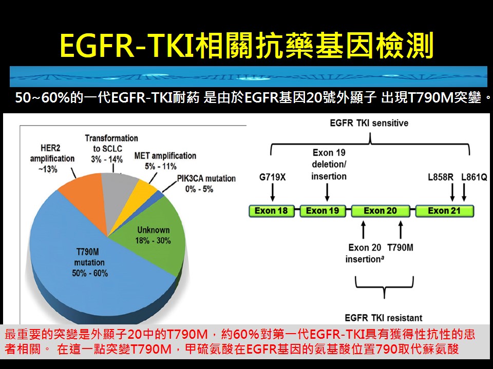 20181117 第1版 EGFR陽性晚期肺癌 3