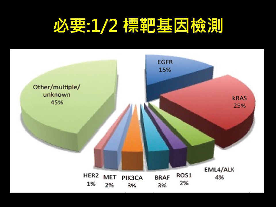 20181117 第3版 晚期肺癌 2018年免疫治療新進展 2