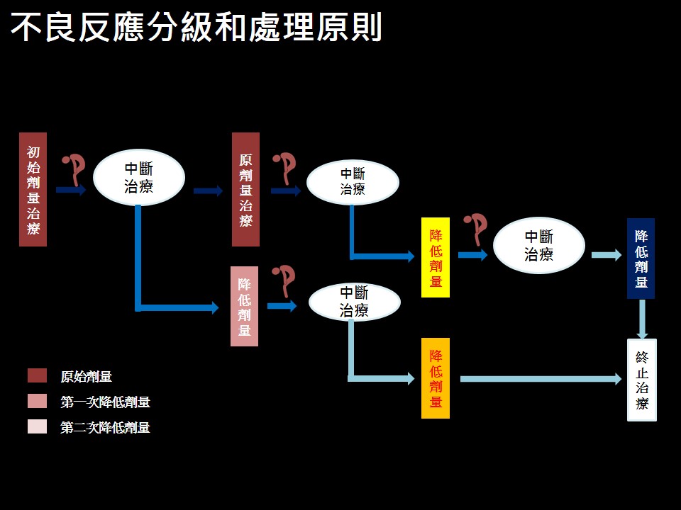 20190105 陳駿逸 新型標靶藥物 PARP抑制劑副作用的處置 3