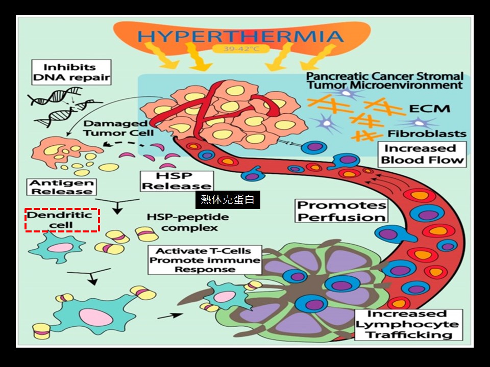 20190921 陳駿逸 認識癌症溫熱療法 3