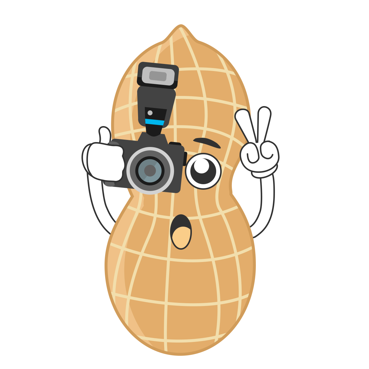 Pngtreecartoon peanut photography clipart 5551806