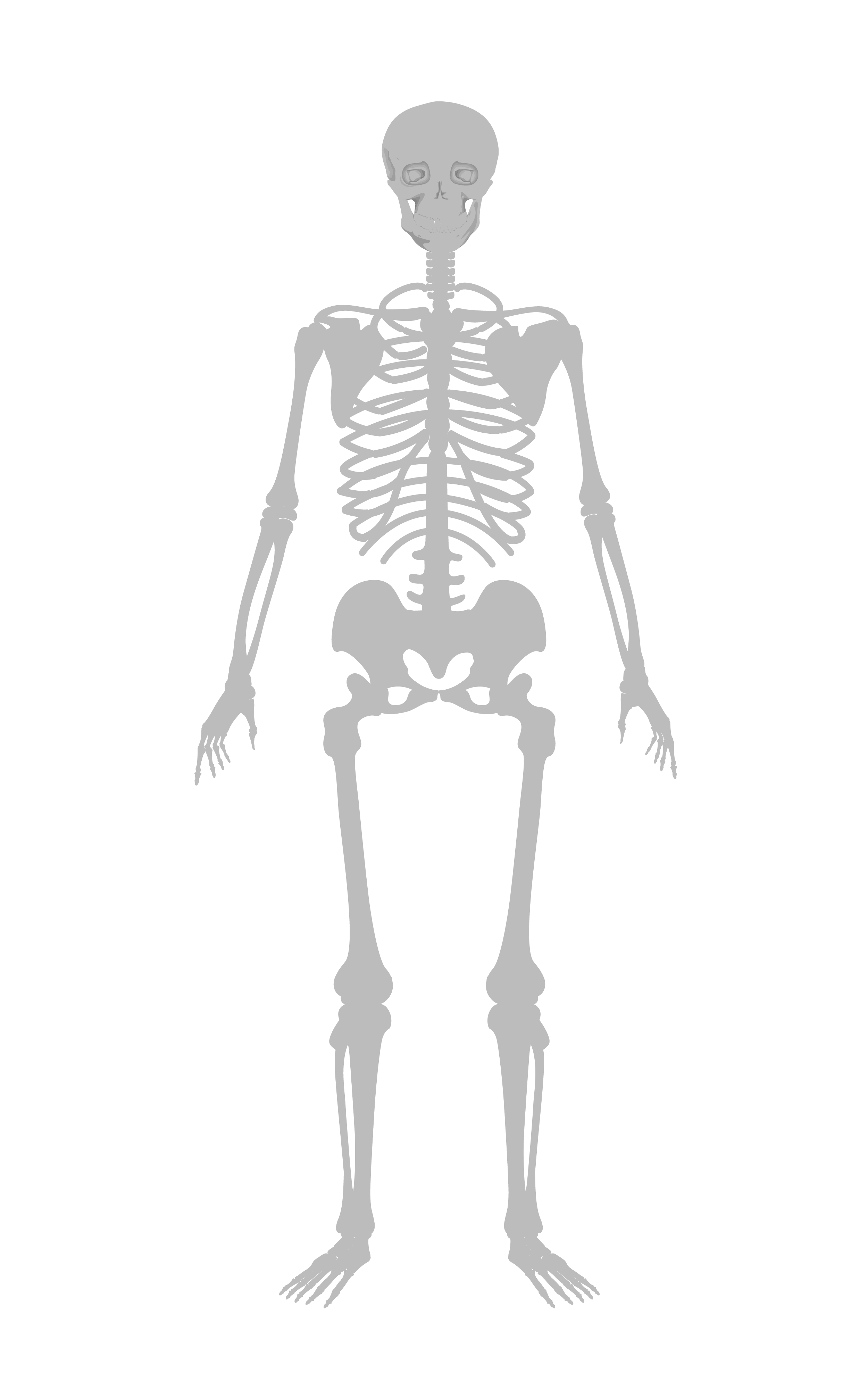 Pngtreehand drawn human bones illustration 4700636