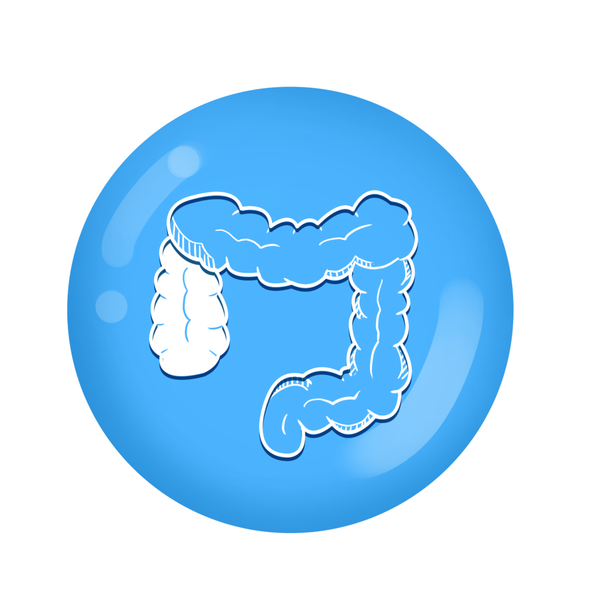 Pngtreehuman organ visceral large intestine 4426844 1