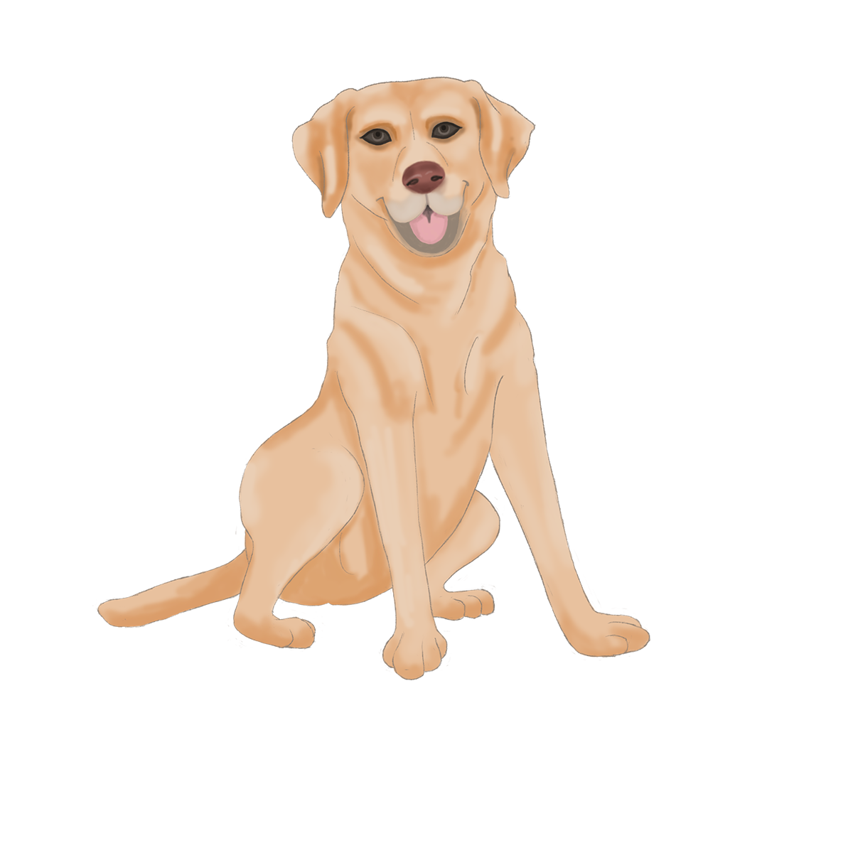 Pngtreelabrador guide dog clip art 5879451