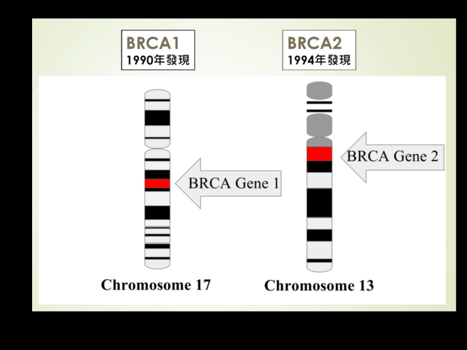 brca 