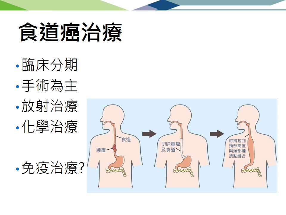 台中醫院衛教II 頭頸鼻咽食道癌與免疫治療 20180818 7