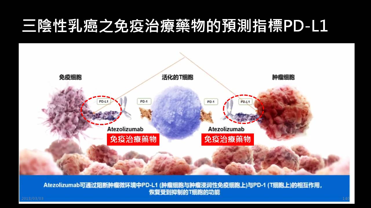 投影片140 三陰性