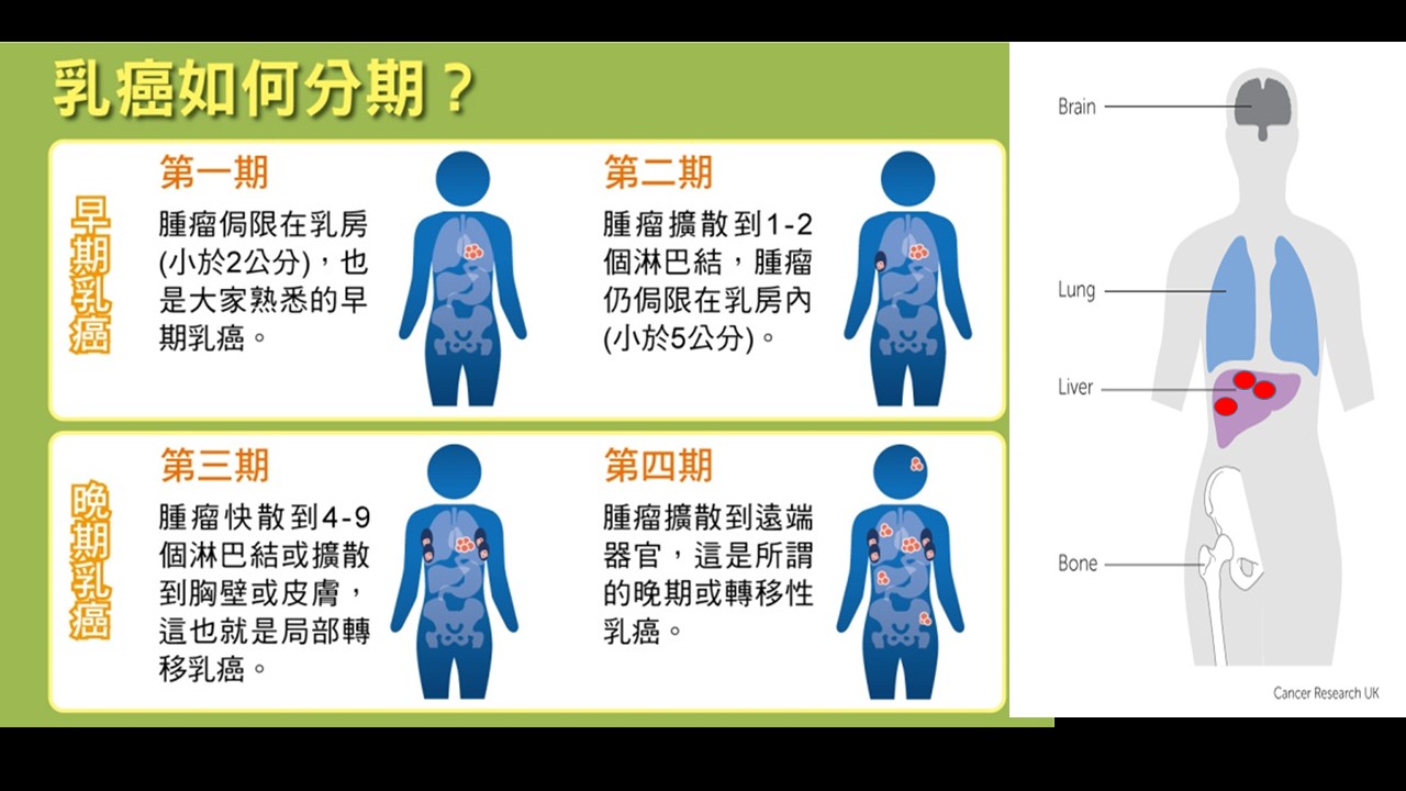 投影片4