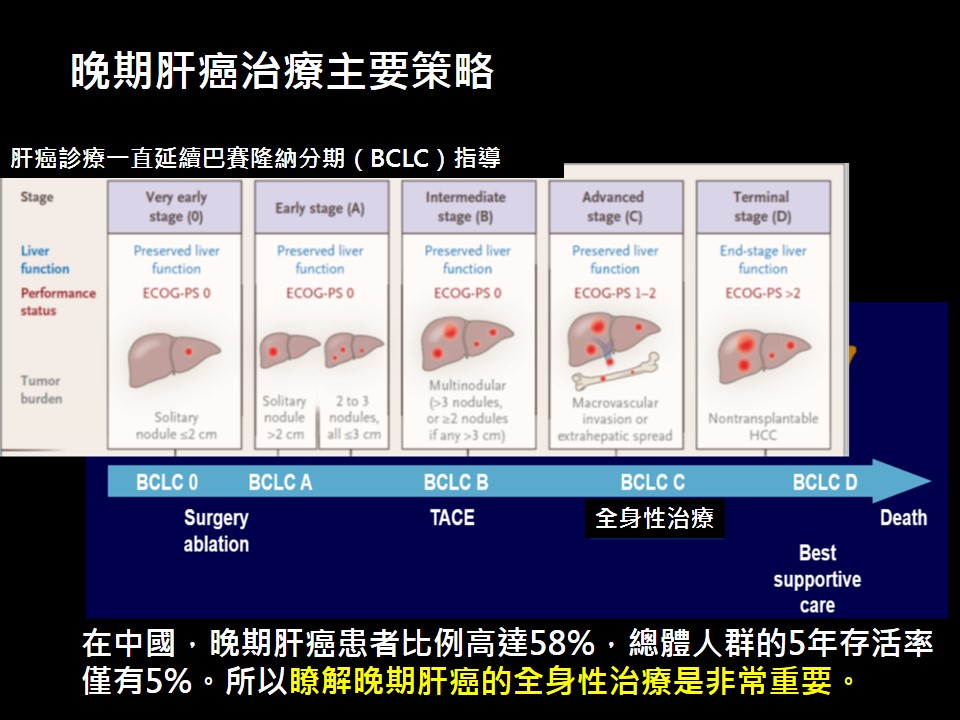 晚期肝癌免疫與標靶治療 1 nexavar投影片3