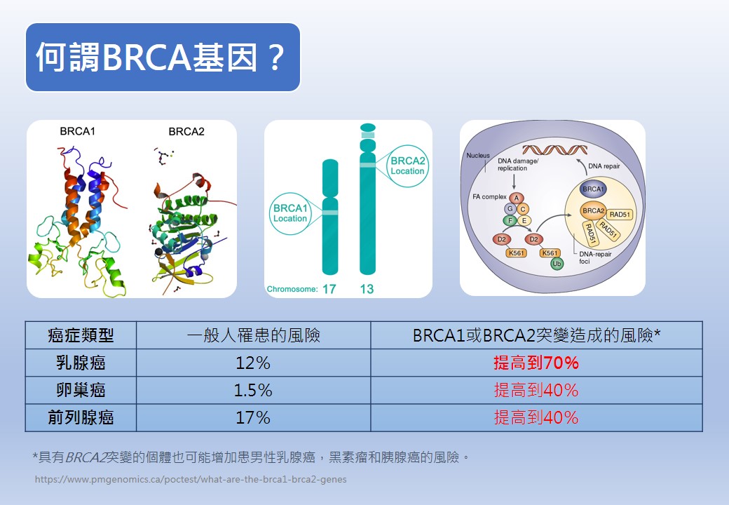 精準演講 20190105署醫BRCA 1