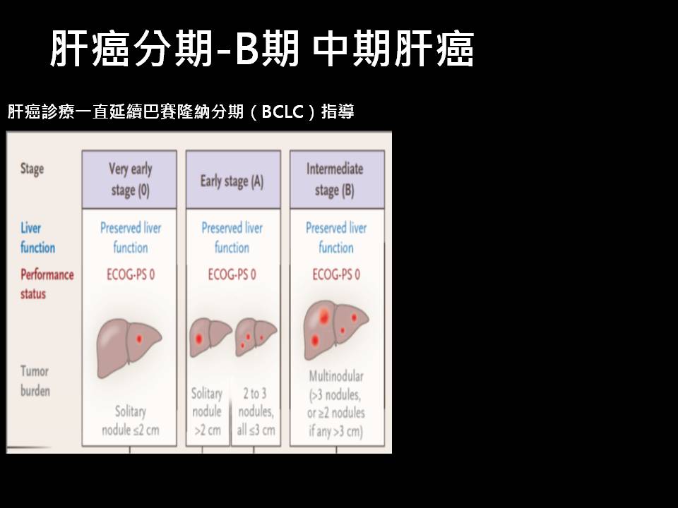 肝癌治療簡介14