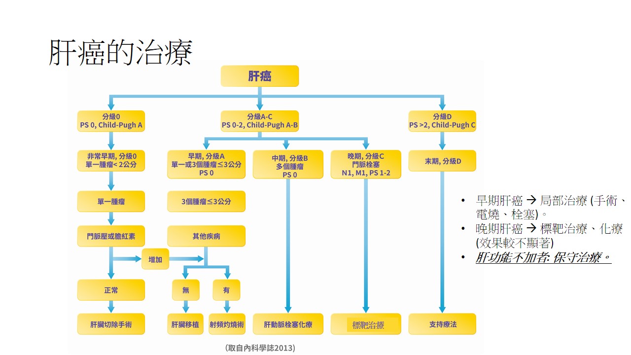 腸胃道消化系統腫瘤與免疫治療 1