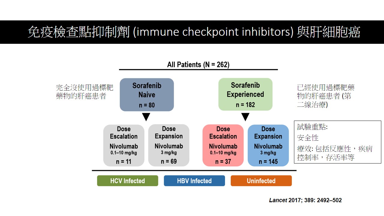 腸胃道消化系統腫瘤與免疫治療 3